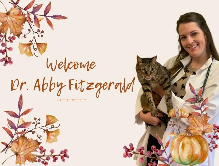 Welcome Dr. Abby Fitzgerald